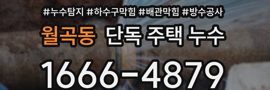 월곡동 단독 주택 누수