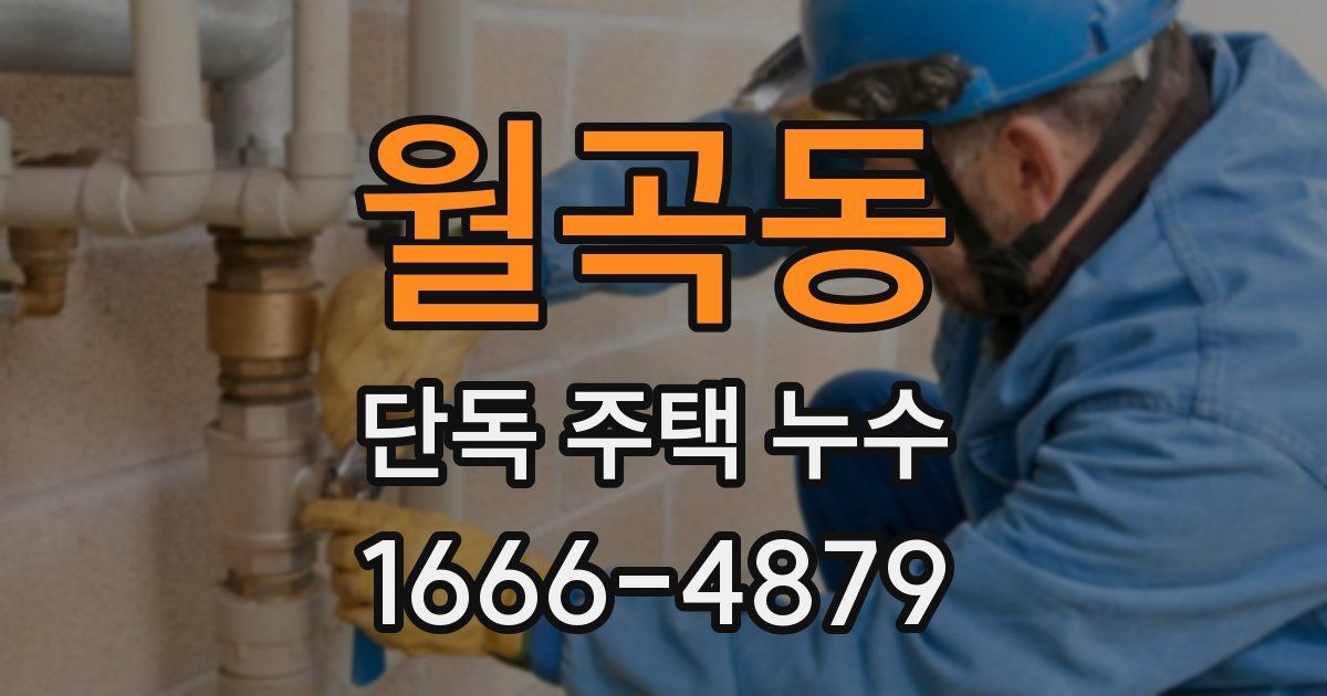 월곡동 단독 주택 누수