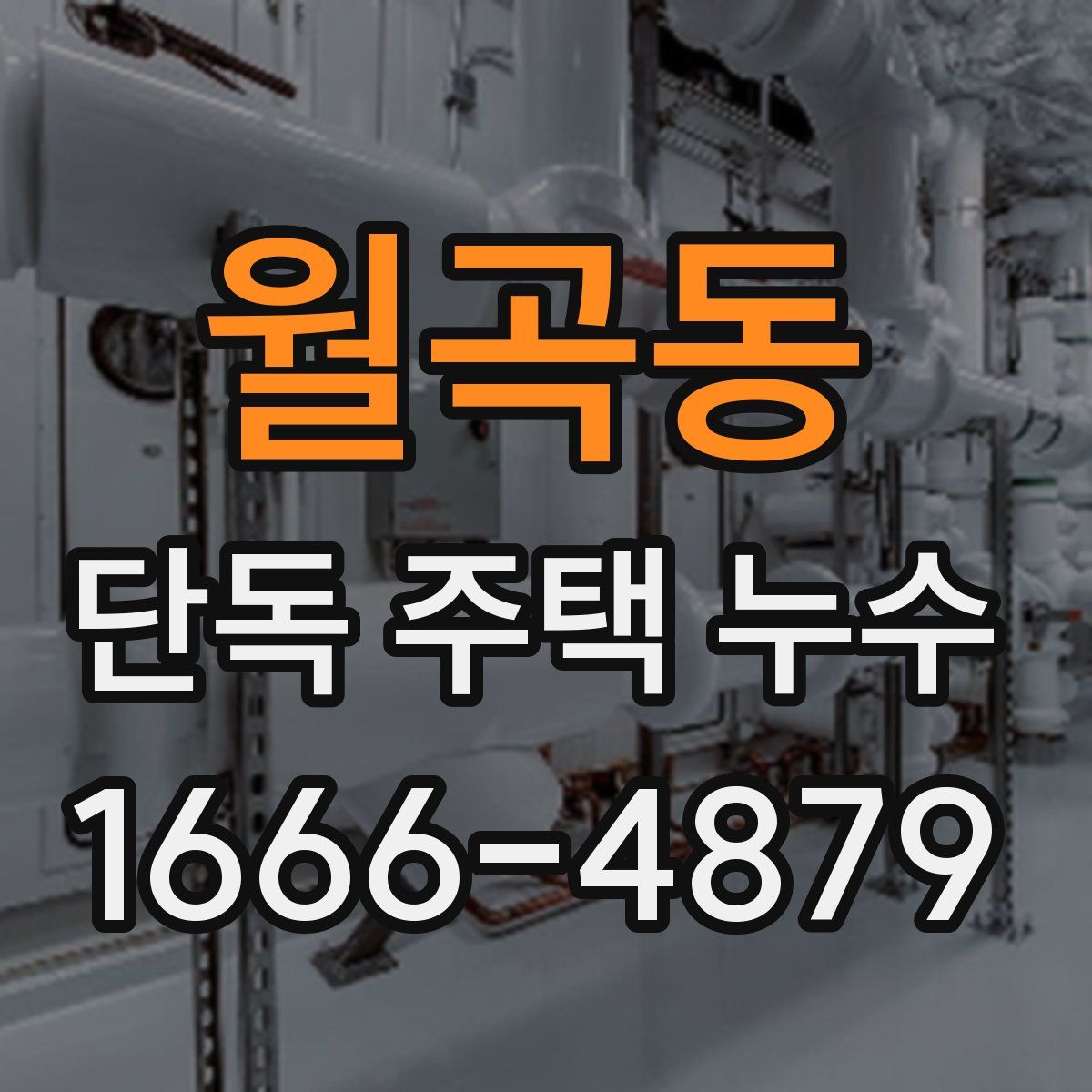 월곡동 단독 주택 누수