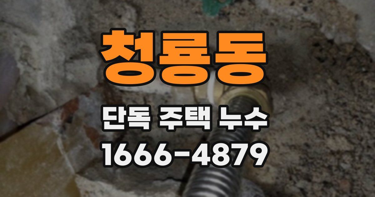 청룡동 단독 주택 누수