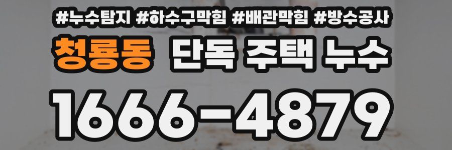청룡동 단독 주택 누수