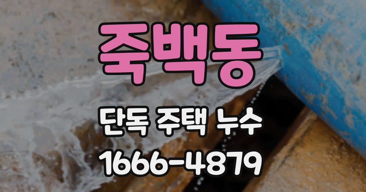 죽백동 단독 주택 누수