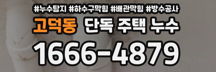 고덕동 단독 주택 누수