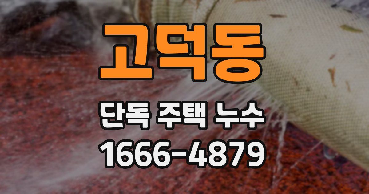 고덕동 단독 주택 누수
