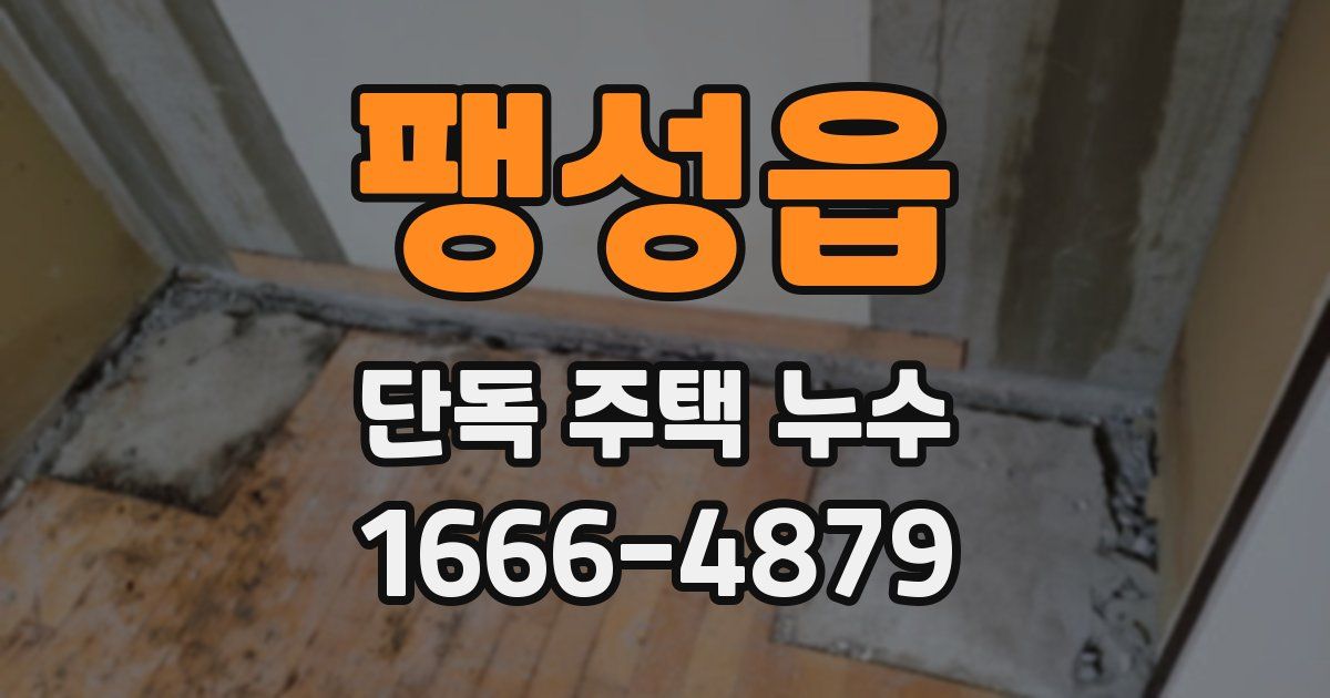 팽성읍 단독 주택 누수