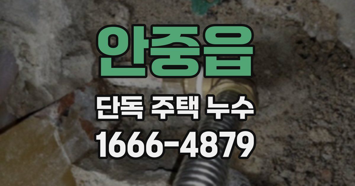 안중읍 단독 주택 누수
