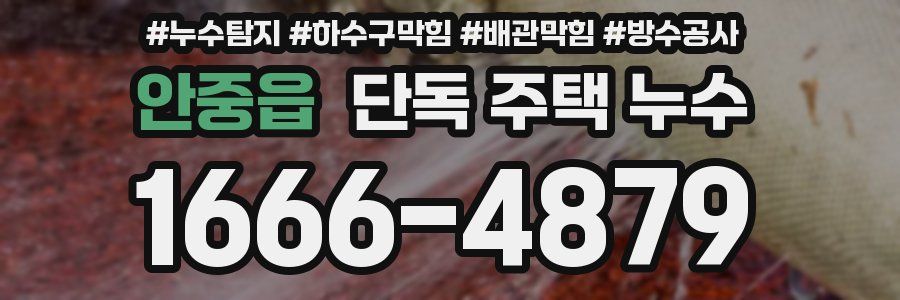 안중읍 단독 주택 누수