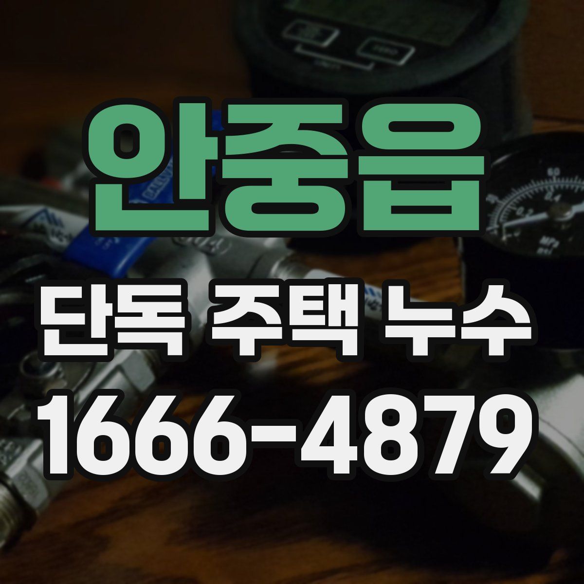 안중읍 단독 주택 누수