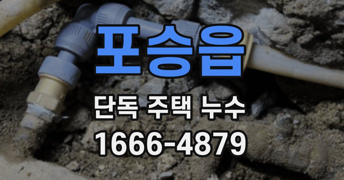 포승읍 단독 주택 누수