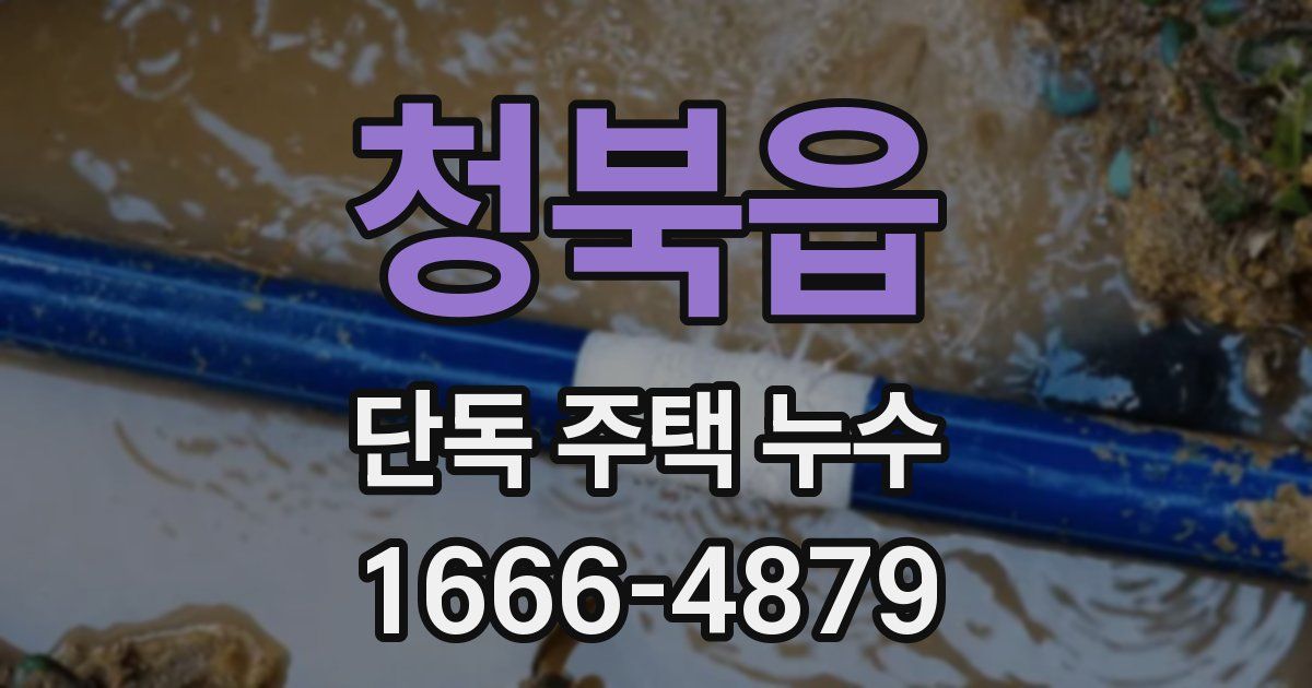 청북읍 단독 주택 누수