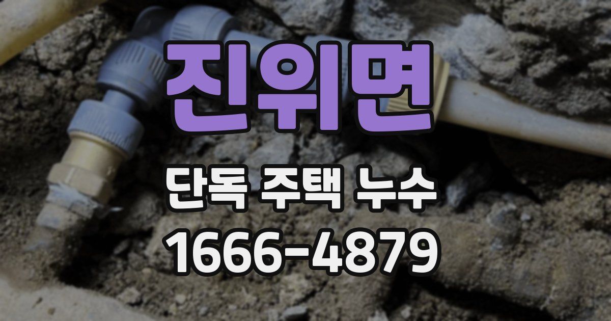 진위면 단독 주택 누수
