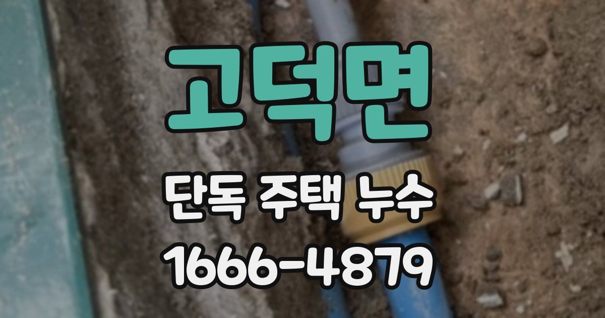 고덕면 단독 주택 누수