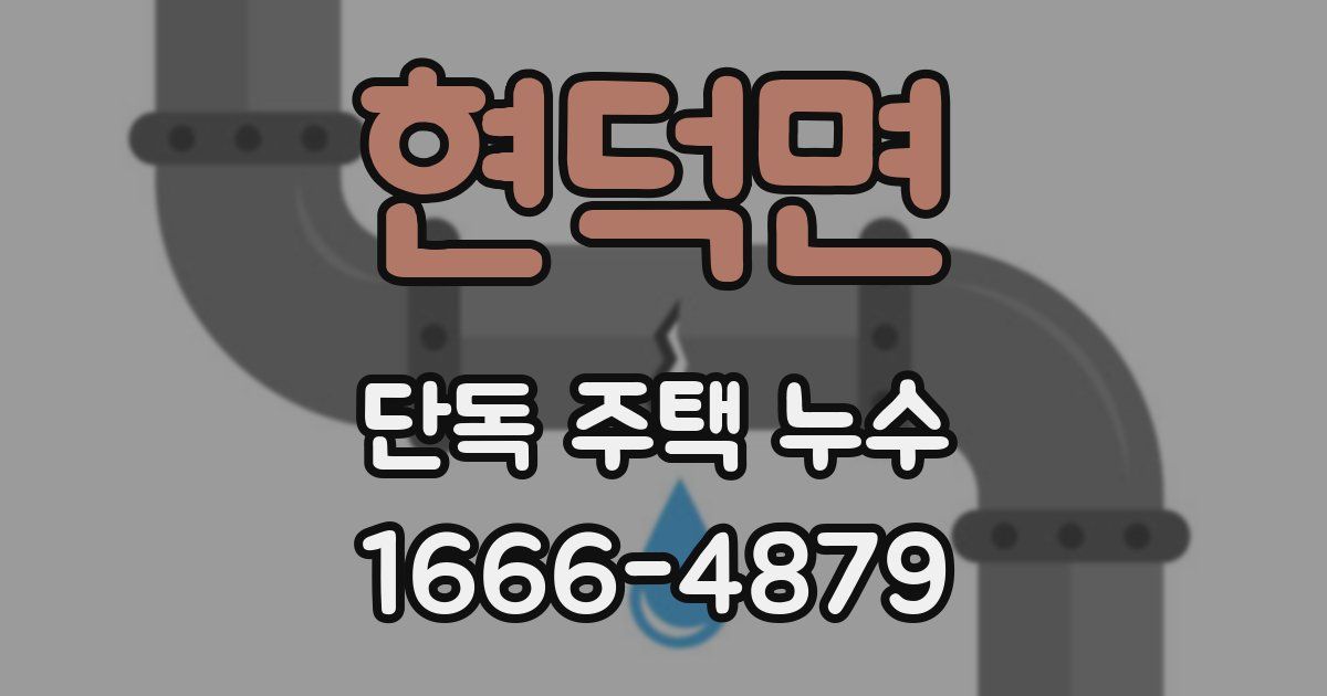 현덕면 단독 주택 누수