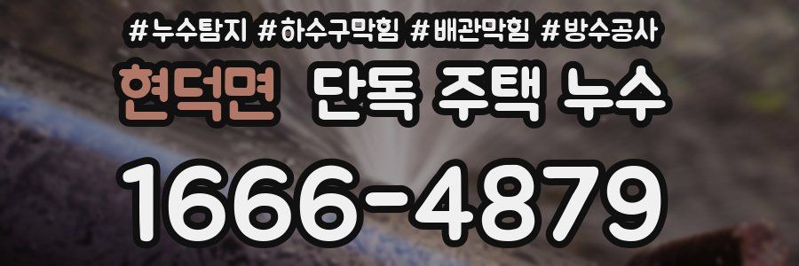 현덕면 단독 주택 누수