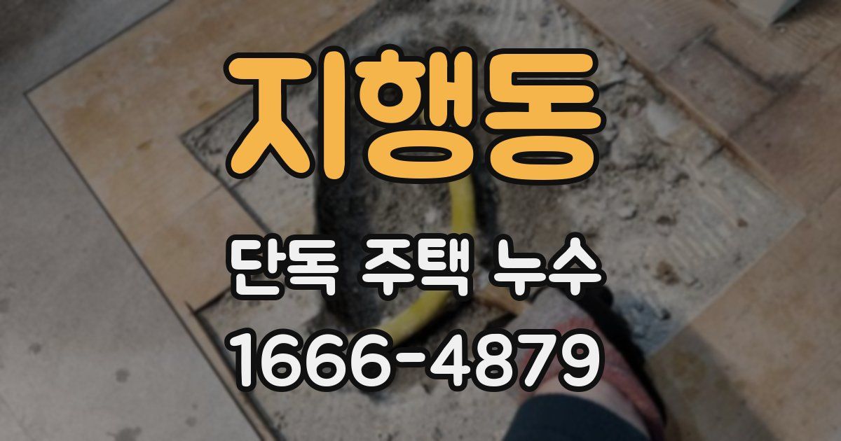 지행동 단독 주택 누수