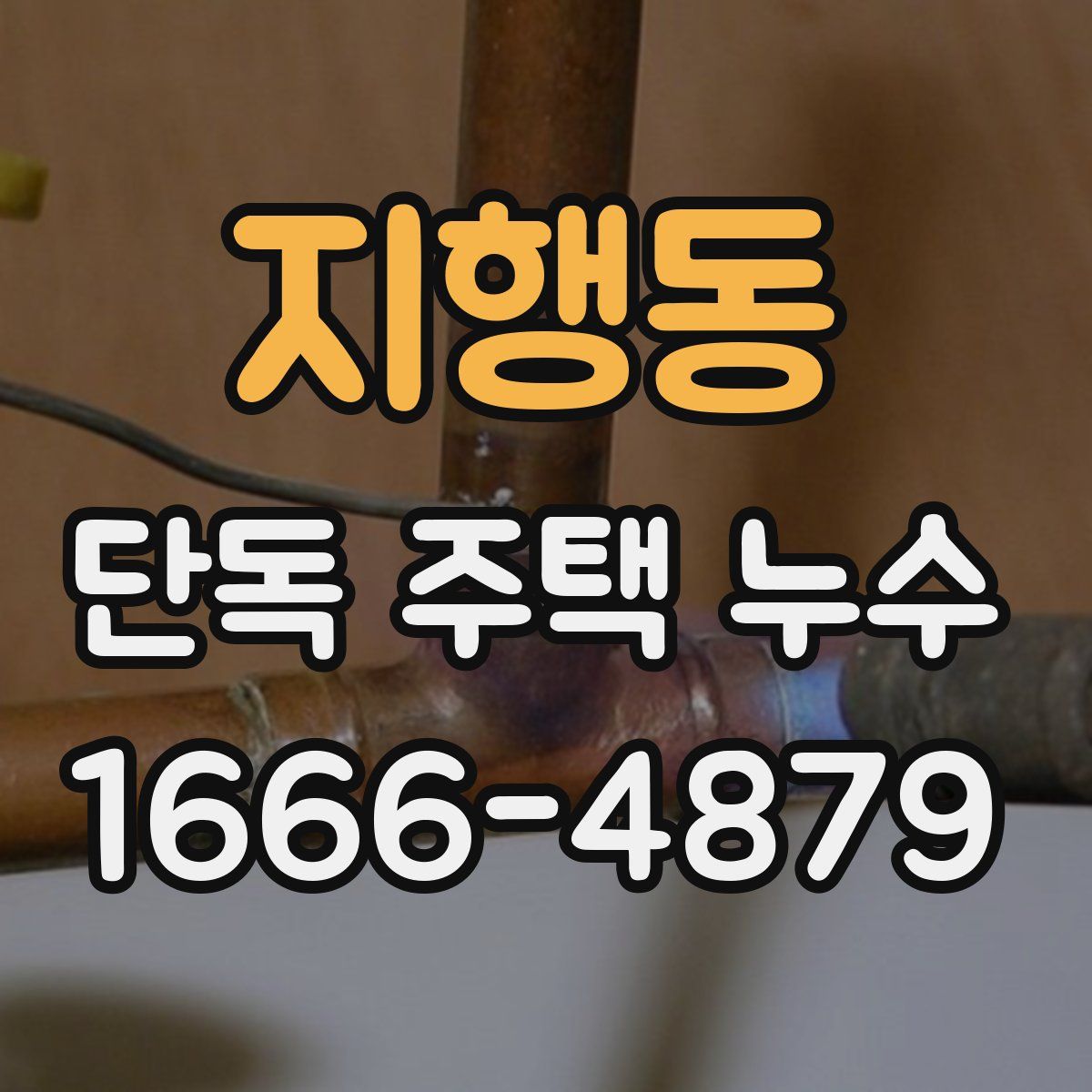 지행동 단독 주택 누수
