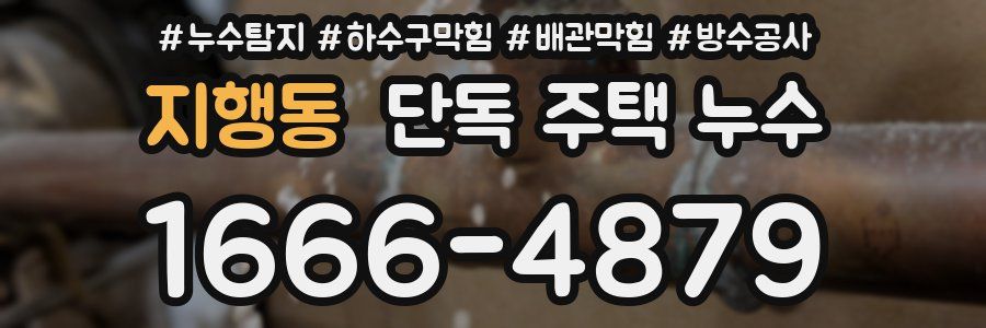 지행동 단독 주택 누수