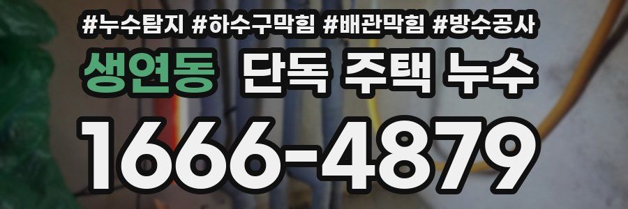 생연동 단독 주택 누수