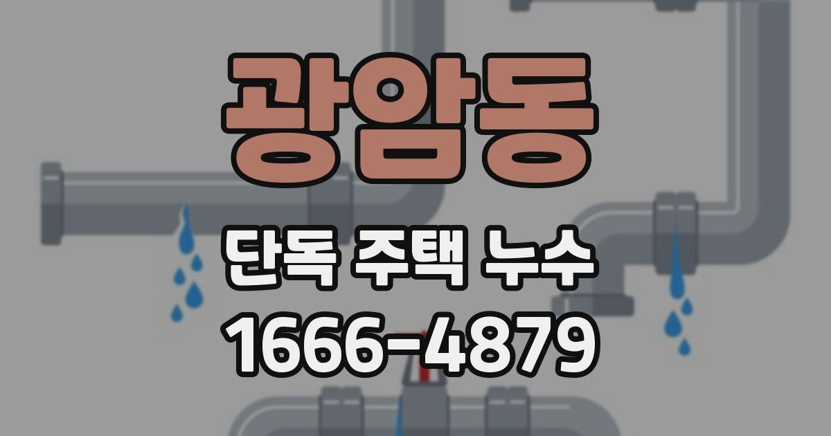 광암동 단독 주택 누수