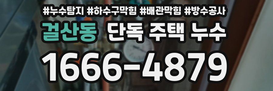 걸산동 단독 주택 누수