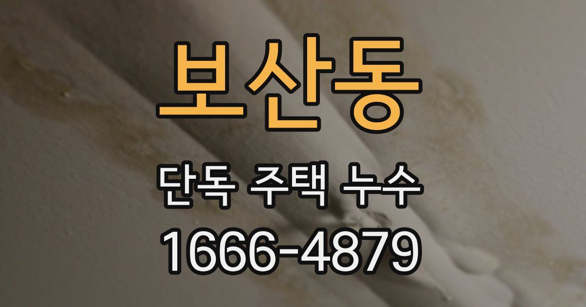보산동 단독 주택 누수