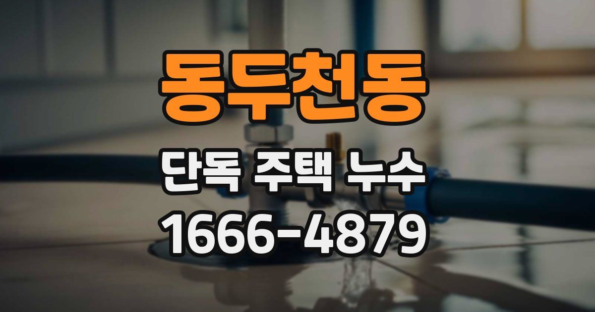 동두천동 단독 주택 누수