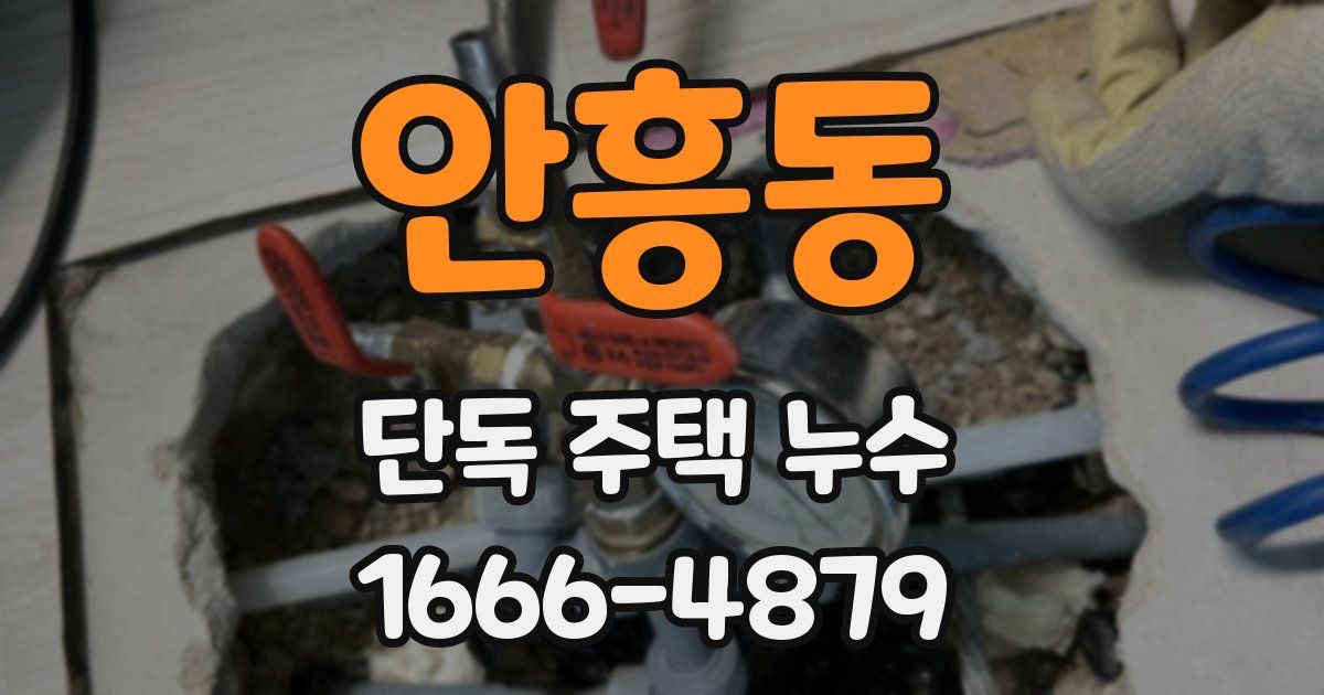 안흥동 단독 주택 누수