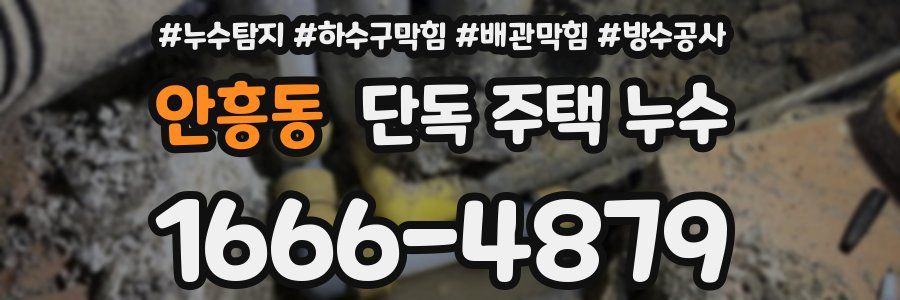 안흥동 단독 주택 누수