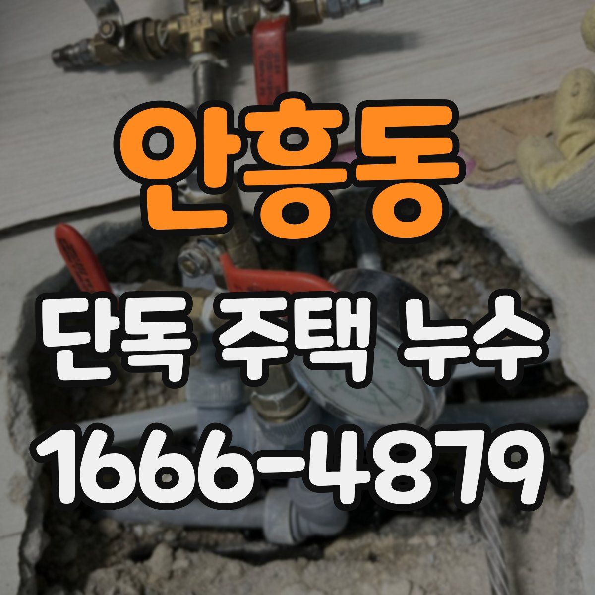 안흥동 단독 주택 누수