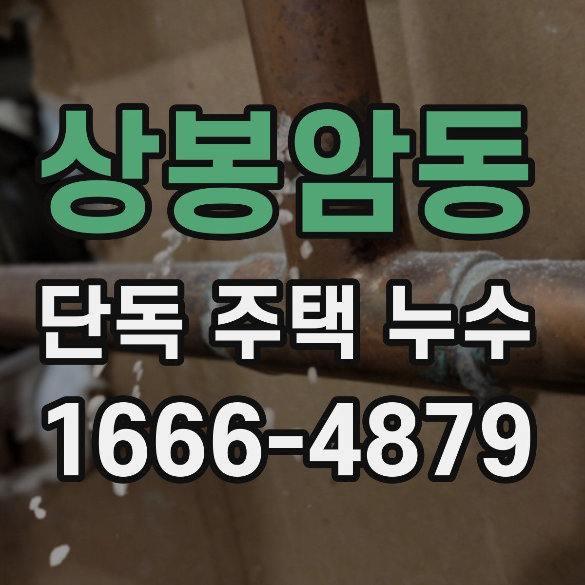 상봉암동 단독 주택 누수