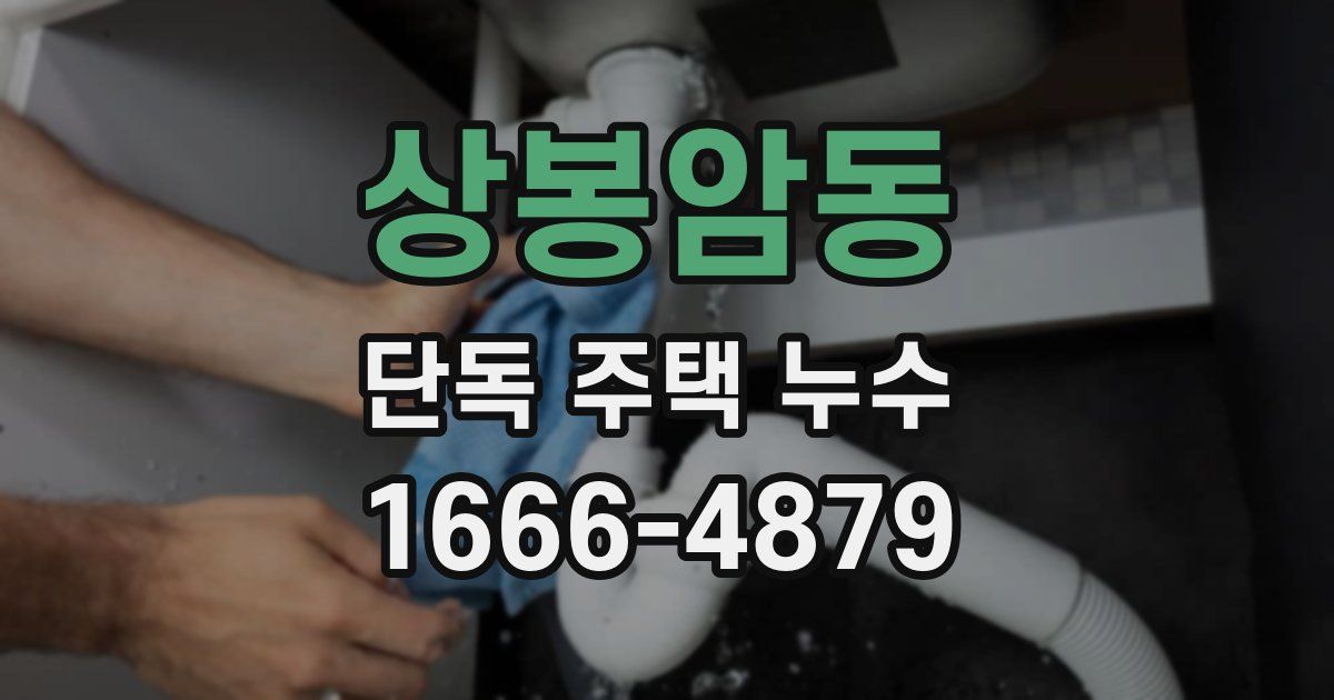 상봉암동 단독 주택 누수