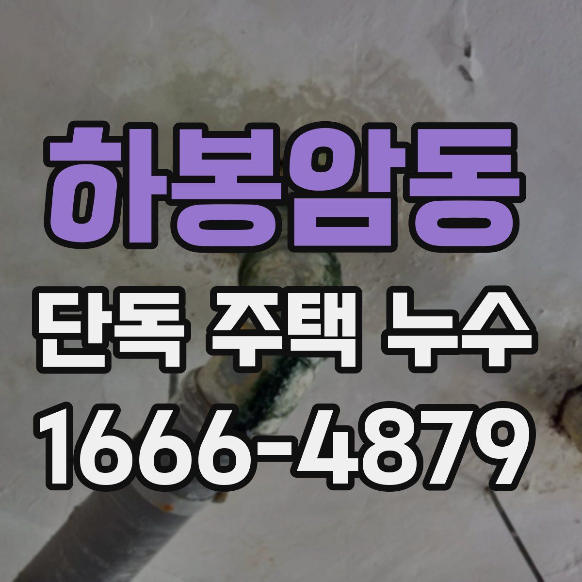 하봉암동 단독 주택 누수