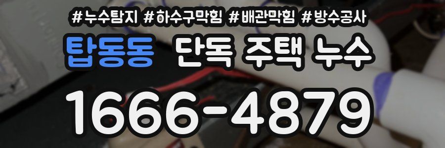 탑동동 단독 주택 누수