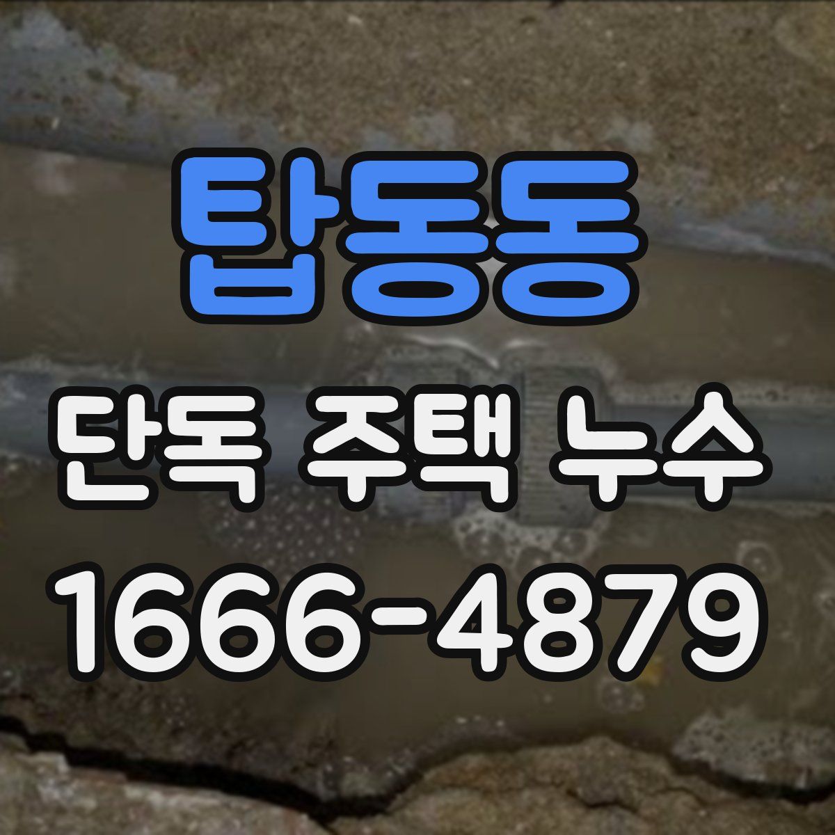탑동동 단독 주택 누수