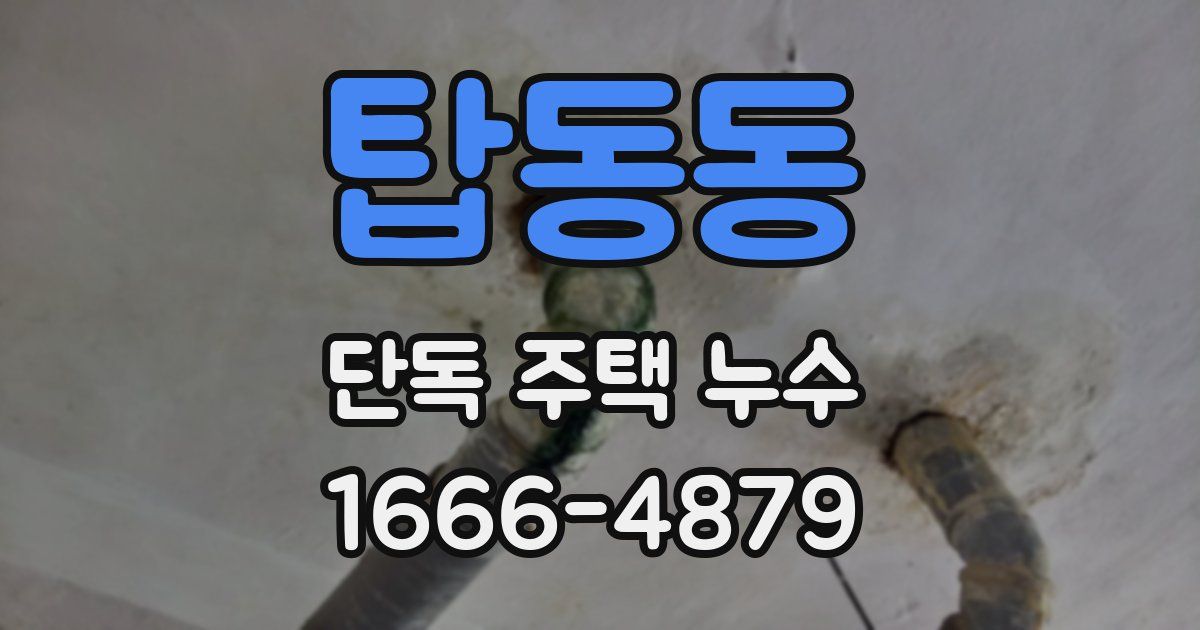 탑동동 단독 주택 누수
