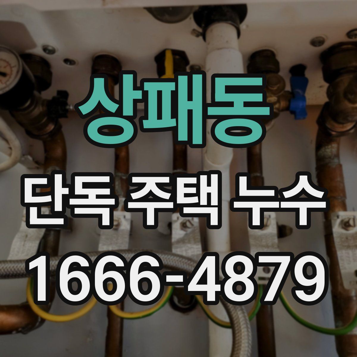 상패동 단독 주택 누수