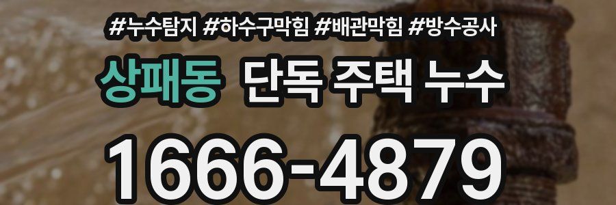 상패동 단독 주택 누수