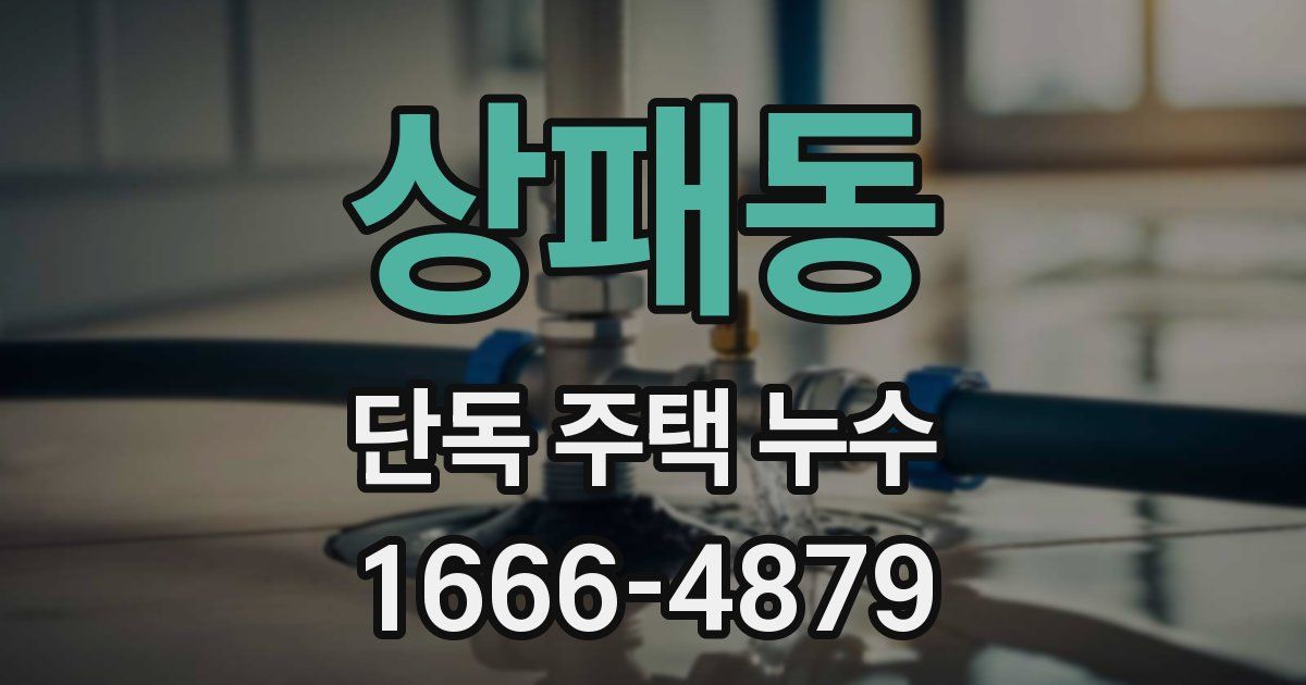 상패동 단독 주택 누수