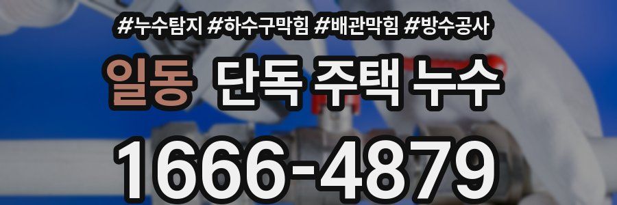 일동 단독 주택 누수