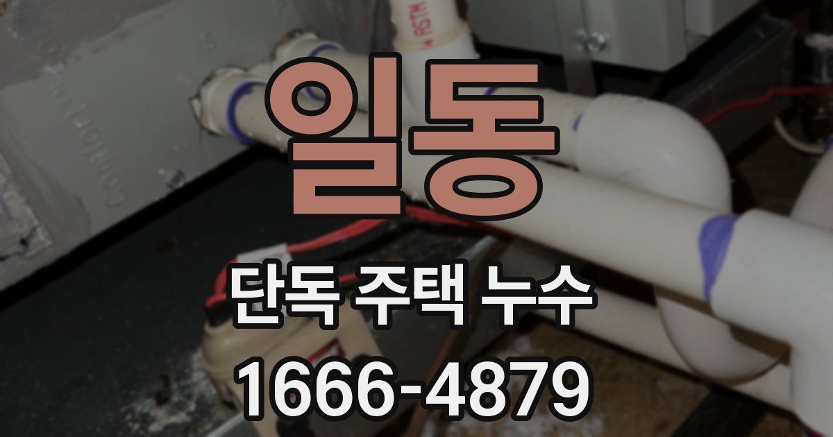 일동 단독 주택 누수