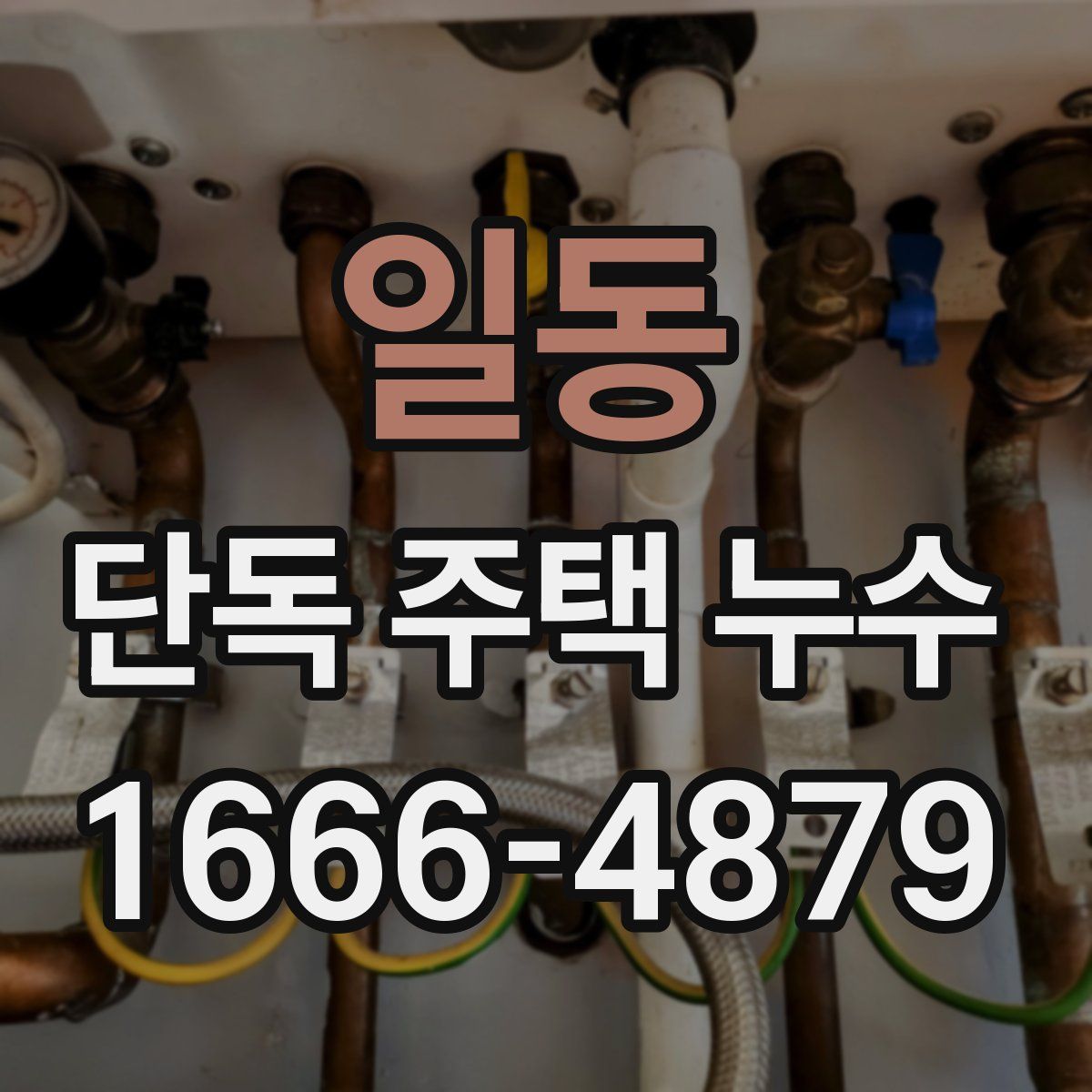 일동 단독 주택 누수