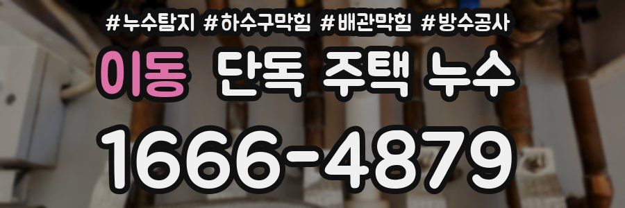 이동 단독 주택 누수