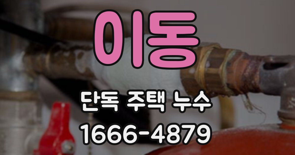 이동 단독 주택 누수