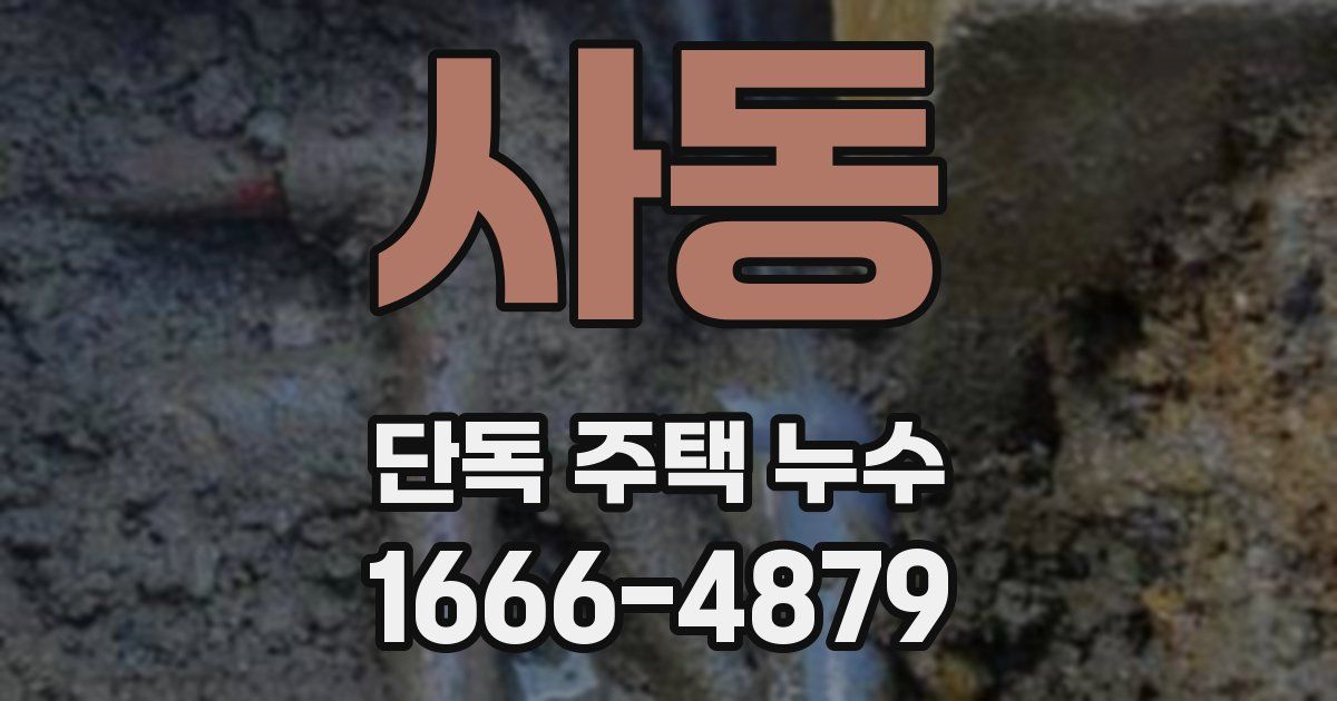 사동 단독 주택 누수