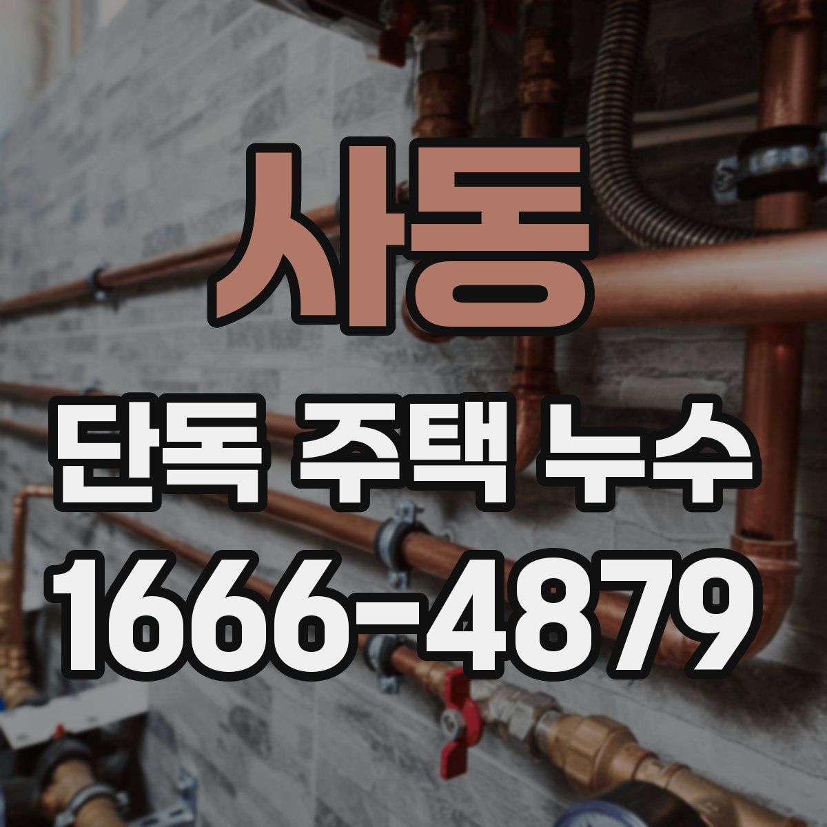 사동 단독 주택 누수