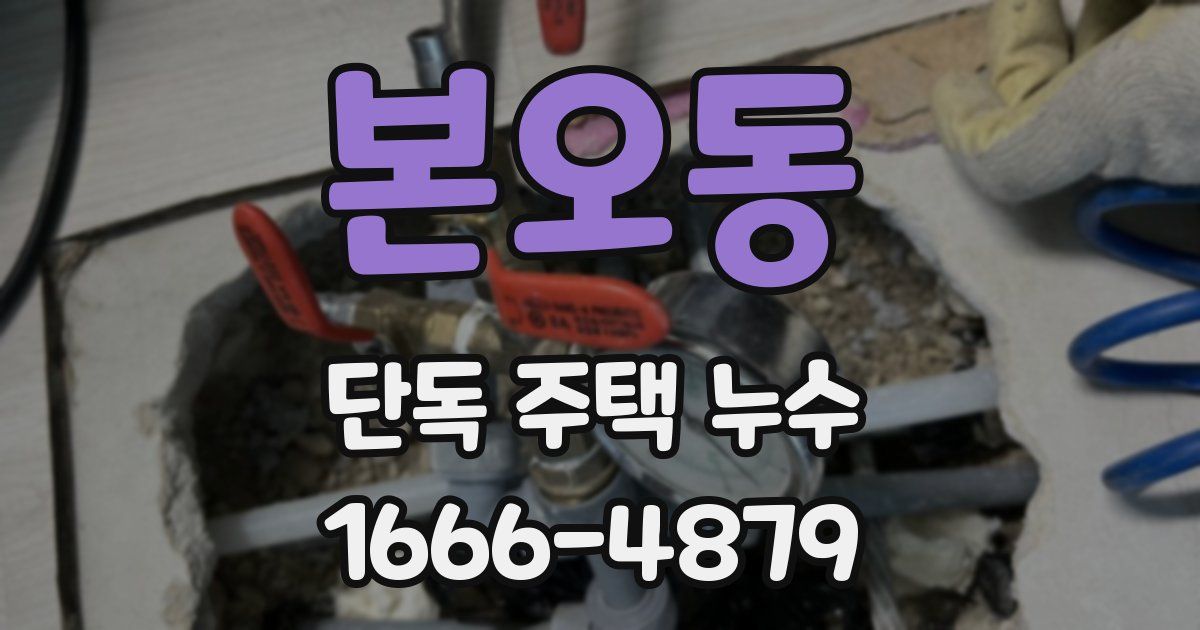 본오동 단독 주택 누수