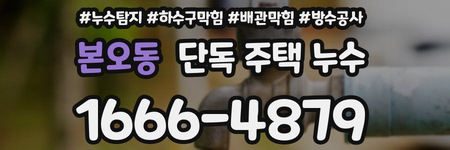 본오동 단독 주택 누수
