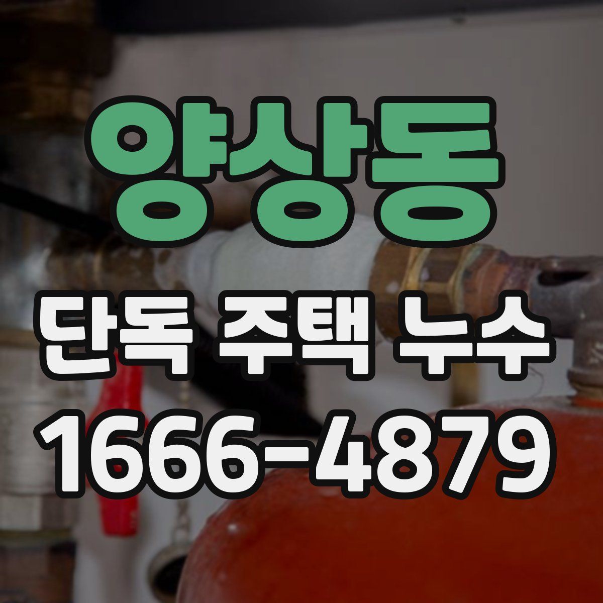 양상동 단독 주택 누수
