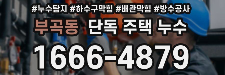 부곡동 단독 주택 누수