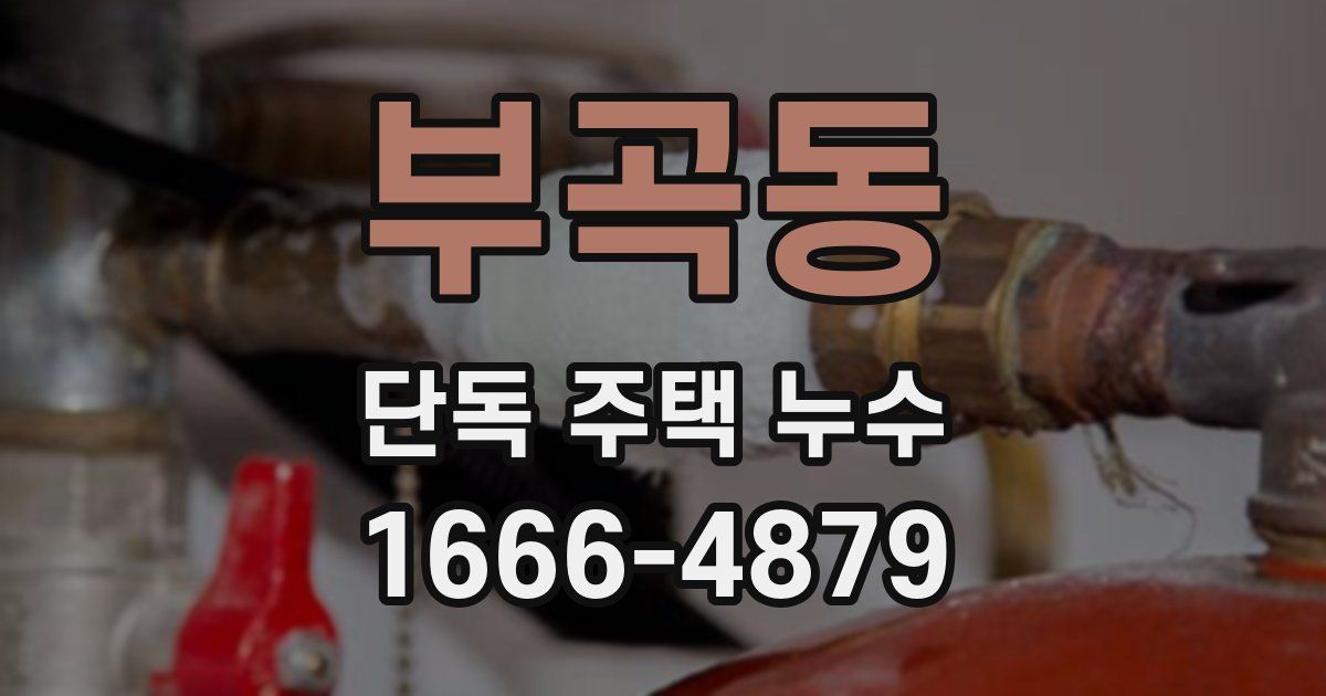 부곡동 단독 주택 누수